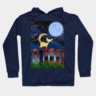 Stargazer Hoodie